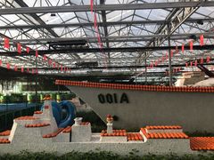 -兰陵国家农业公园