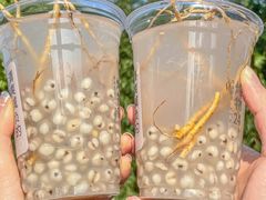 -炖物24章·顺时轻养茶(杭州大厦店)