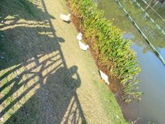 -东山湖公园