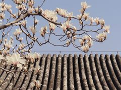 -颐和园