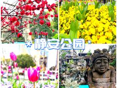 -梅间堂茶馆(绿地缤纷城店)