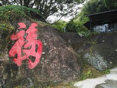 -天鹿湖森林公园