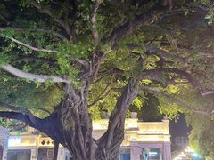 -溪涧堂农家土菜(神仙居店)