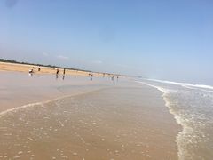 -日照海滨国家森林公园