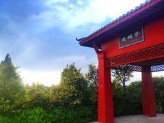 -五龙城郊森林公园