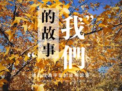 -大望京公园