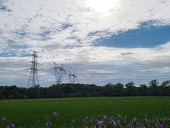 -嘉北郊野公园
