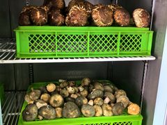 -山菌美食苑(振兴路店)