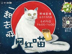 -Bastet sally猫舍购宠(静安店)