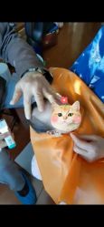 -龙文宝贝上门婴儿理发满月剃胎毛(浦东店)