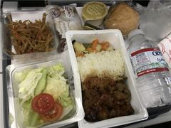 -达拉斯 沃斯堡国际机场