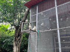 -三水森林公园