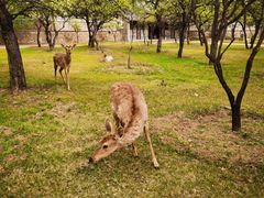 -承德避暑山庄景区