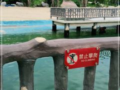-广东惠东海龟国家级自然保护区