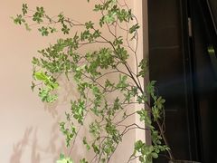 -森Some Fusion(荔湾店)