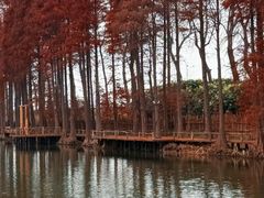 -长兴太湖图影湿地文化园