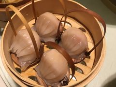 -金鼎轩(亚运村店)