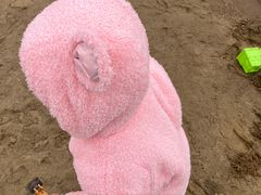 -碧海金沙