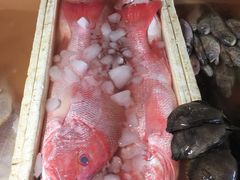-金巴兰海鲜王