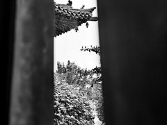 -善化寺