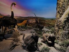 -国家自然博物馆