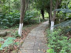 -广西壮族自治区药用植物园