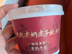 -羲和雅苑•北京烤鸭(瑞吉店)