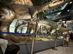 -湖南省地质博物馆