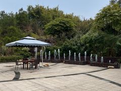 -韶关经律论国际酒店温泉
