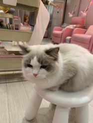 -Beauty Nails 美甲美睫皮肤管理