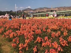 -盈香心动乐园