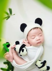 点击看大图 -Two Monkeys 孕婴写真馆(龙华店)