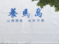 -养马岛旅游度假区
