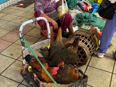 -西双版纳集贸市场