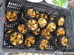 -抹直口特色菜馆(一店)