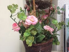 iphone_upload_pic-燕庭·纯燕窝·甜品下午茶(南京西路店)