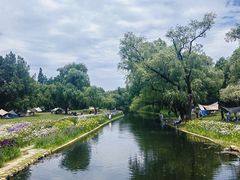 -上海共青森林公园