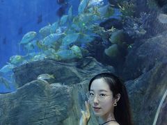 -华夏文旅海洋公园