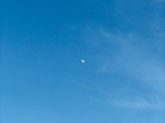 景点-康庄公园