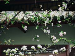 -棠湖公园