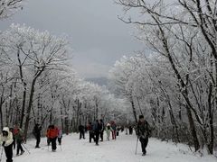 -安吉龙王山风景区