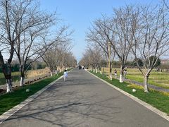 -长田漾湿地公园