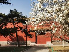 -北京市劳动人民文化宫(太庙)