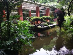 -广州兰圃