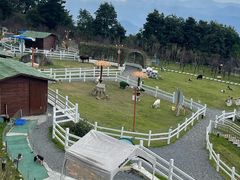 -玉苍山国家森林公园