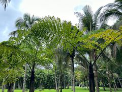 -中国科学院西双版纳热带植物园