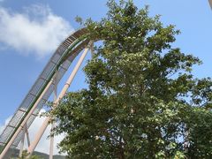 -珠海长隆海洋王国-鹦鹉过山车