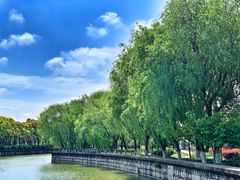-上海鲜花港