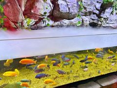 -顺德南宏海立方海洋公园