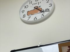 -美联众合动物医院·24h转诊中心